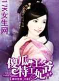 傻瓜王爷特工妃