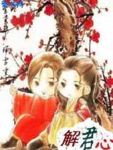 大少爷与大侠女：解君心
