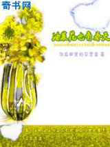 油菜花也有春天