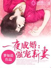 一夜成婚：强宠新妻