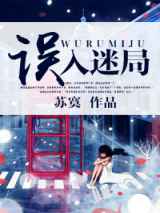 误入迷局