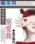 坏坏老公别爱我