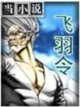 飞羽令