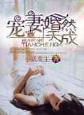 宠妻,婚然天成