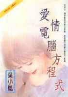 爱情电脑方程式